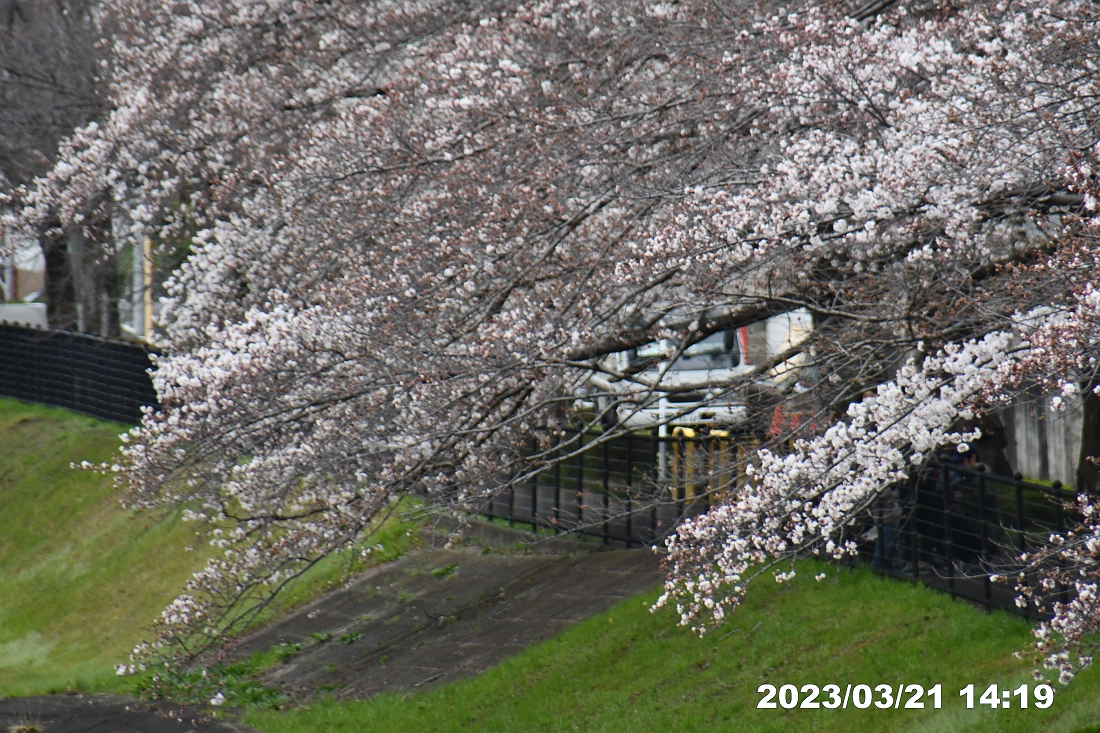 多摩市・都立桜ヶ丘公園周辺